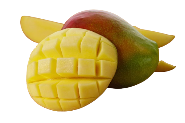 SM118464-removebg-preview