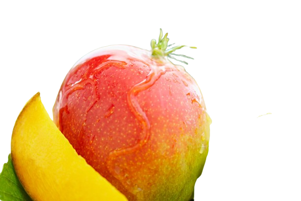 SM149886-removebg-preview