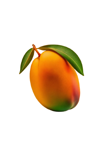 allec-gomes-CqPjQBJOXWA-unsplash-removebg-preview